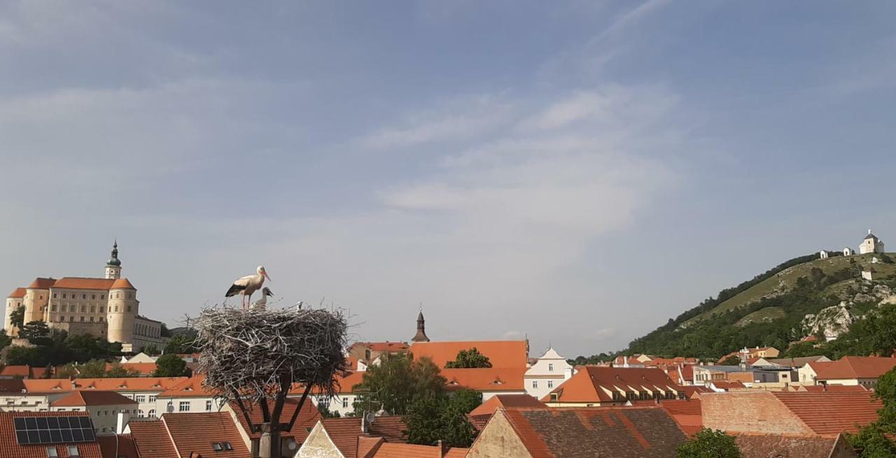 Penzion Čáp Mikulov Exterior foto